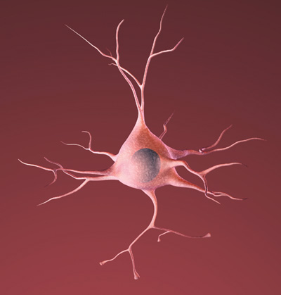 Drawing of a healthy neuron (nerve cell of the brain)