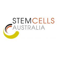 Stem Cell Research Uses of Stem Cells and Ethics EuroStemCell